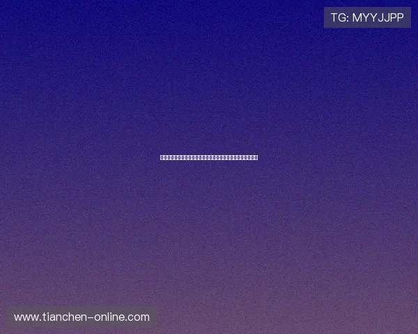 世界杯赛场塞内加尔与伊拉克队员名单全景介绍及关键球员分析